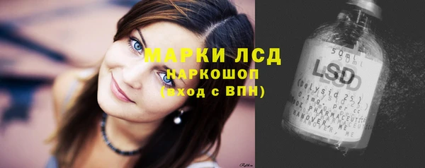 мяу мяу мука Арсеньев