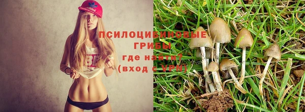 гашиш Переславль-Залесский
