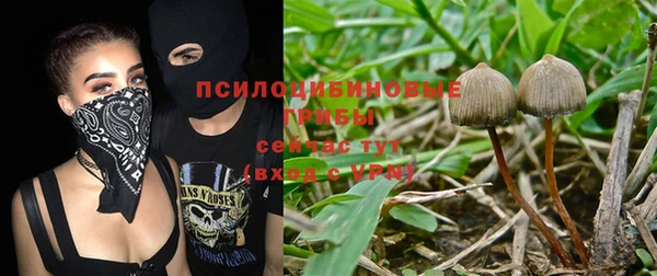 мяу мяу мука Арсеньев